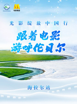 宣宣电影网最新版