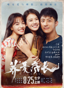 久草网在线观看